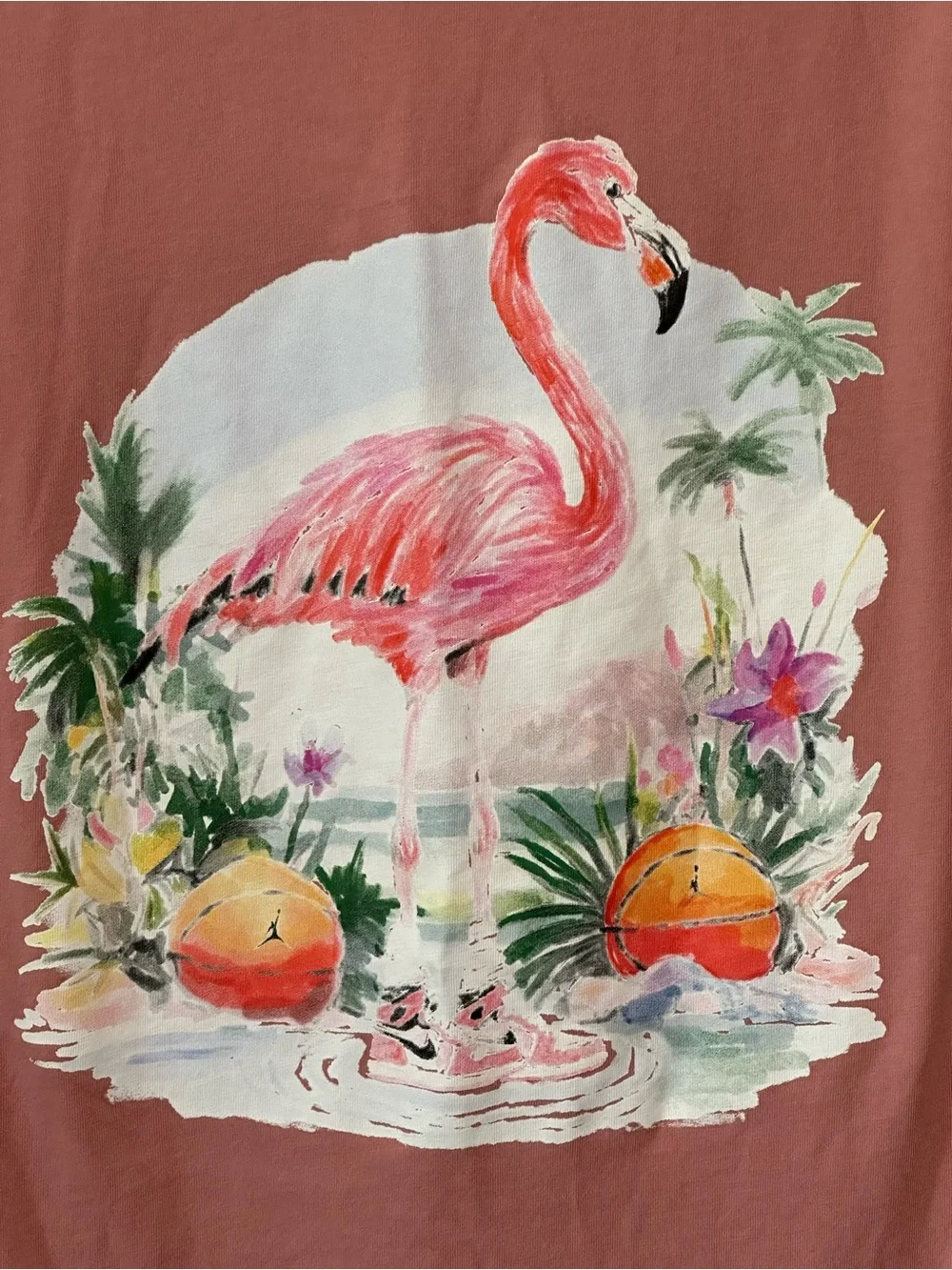 Men’s Nike Air Jordan XL Short Sleeve T-Shirt Top Tee Flamingo Basketball Logo